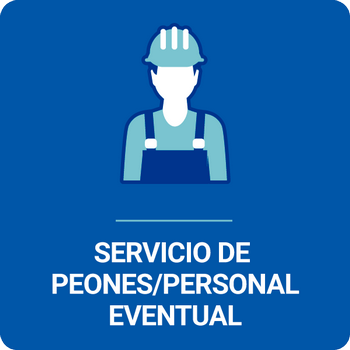 ICONOS-SERVICIOS_peones.png